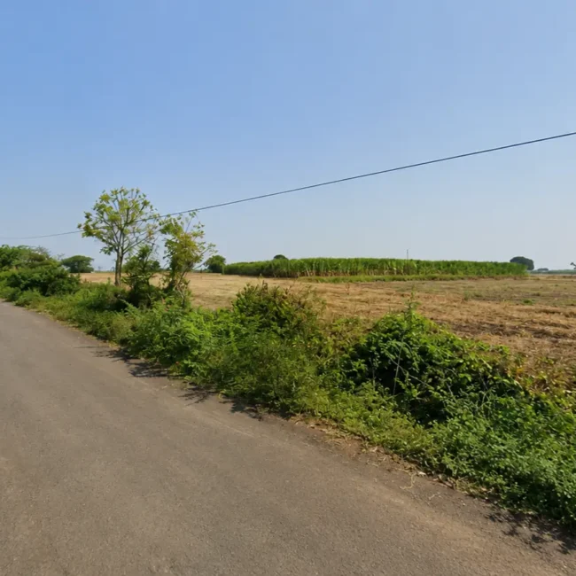 sai-road