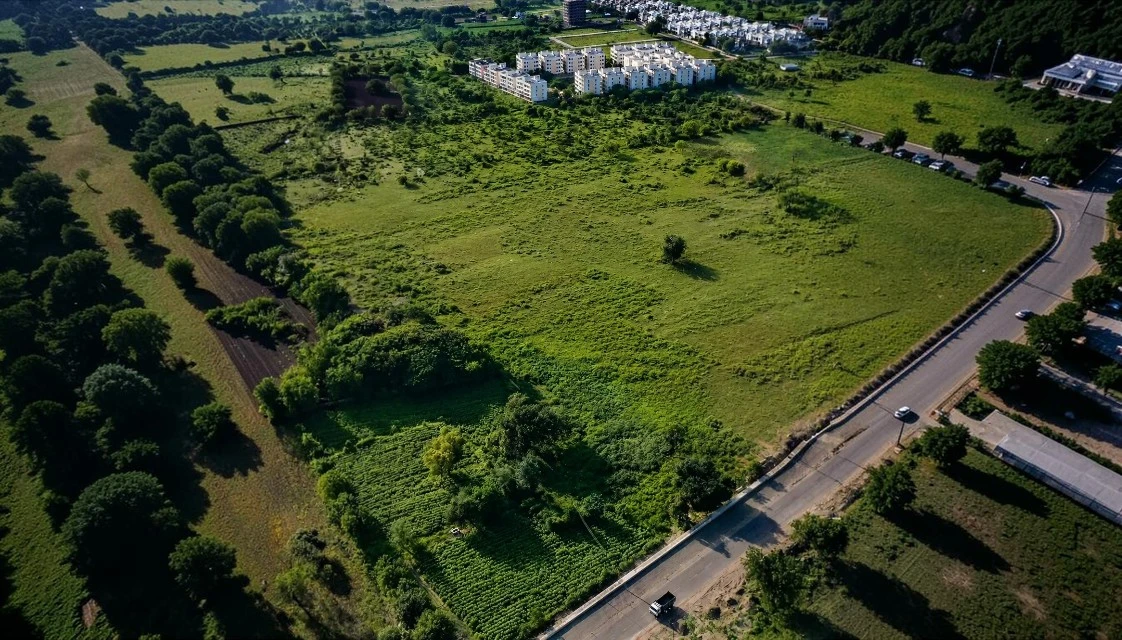 shinganvat-growth-1